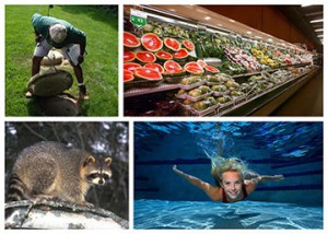 Images of a grocery store, pool, raccoon and a private well